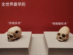-南山博物馆