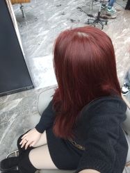 -藤野造型