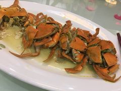 清蒸奄仔蟹-新灿记大酒楼