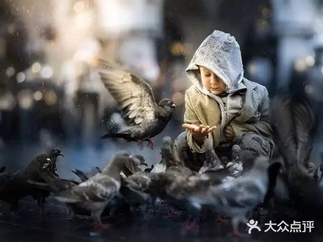 相机里的纯美世界~