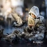 相机里的纯美世界~