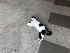 -圣马利亚座堂