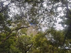 -白云山风景名胜区