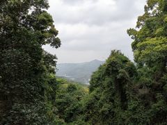 -广州市帽峰山景区
