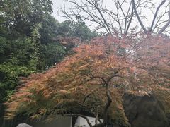 -秋霞圃