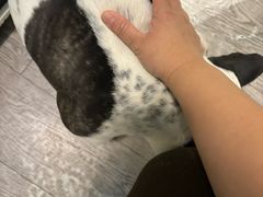 -小时光咖啡馆(北锣鼓巷店)
