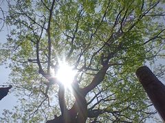 -东坡赤壁风景名胜区