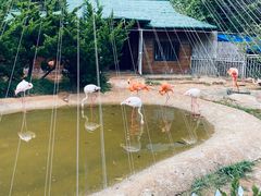 -大连老虎滩海洋公园