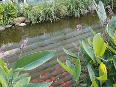 -活水公园