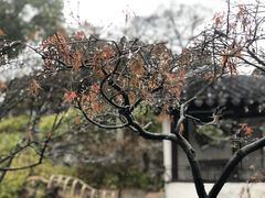 -拙政园