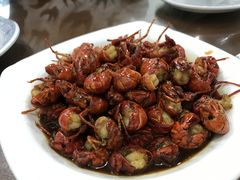 -大萝卜烧烤羊蝎子烤全羊(新城河路店)