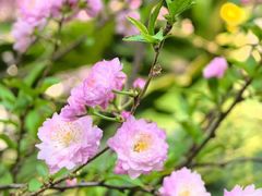 -南京市民俗博物馆(甘熙故居)