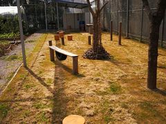 -前小桔亲子创意农场·草莓采摘·露营烧烤
