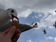 -海埂大坝