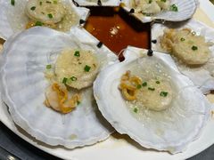 蒜蓉扇贝-海鲜e族(马王堆店)