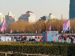 -莲花池公园