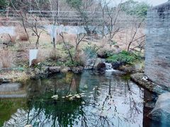 -雪绿茶博物馆
