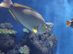 -锦艺城海洋馆