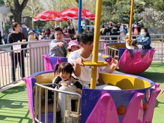 -朝阳公园游乐园