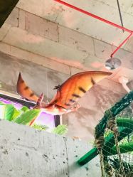 -恐龙探索乐园(磁器口店)