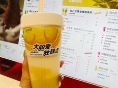 -树夏(建设路店)