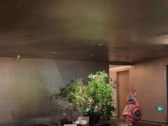 -隐溪茶馆(静安寺店)