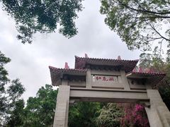 -红花湖景区