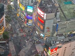 -涩谷区