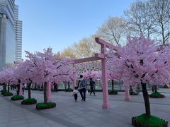 -金茂览秀城