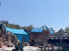 -大连老虎滩海洋公园
