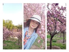 -朝阳公园游乐园