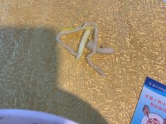 -孙家面馆(小康城店)