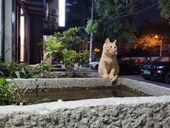 -福瑞记老孙头biangbiang面(新生路店)