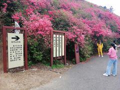 -木兰云雾山