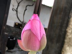 -几荷·恰似故人来(秀水广场店)