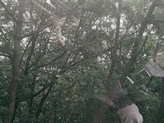 -棒棰岛宾馆景区