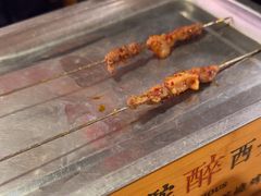 -福苗小骆驼烧烤(莲湖路店)