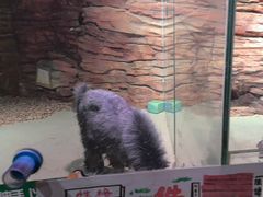 -正佳雨林生态植物园