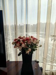 点击看大图 -baby bella小贝拉母婴护理中心(北京东隅店)