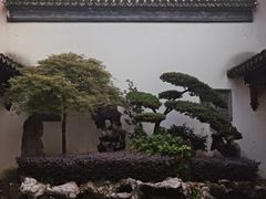 -檀园