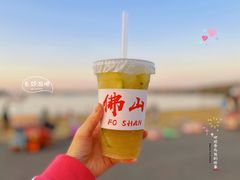 -仙湖旅游度假区