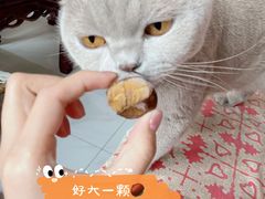 -薛记炒货(印象济南店)