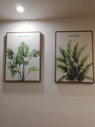 点击看大图 -薇薇安花系SPA