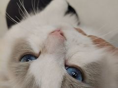 -猫遇摄影工作室