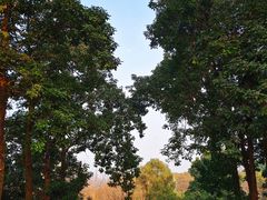 -重庆彩云湖湿地公园