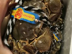 -众彩物流水产市场