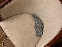 -世纪缘湖滨花园酒店(玄武湖店)