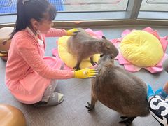 -FAIRYLAND龙族星球主题餐厅(凯丹广场店)