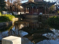 -庾园