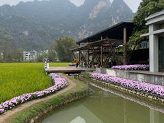-明仕田园